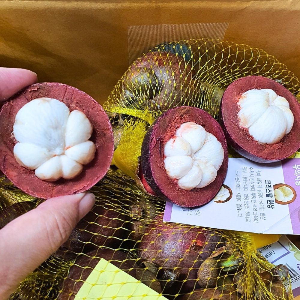 태국산 생 망고스틴 프리미엄 열대과일 1kg 8~16개입 이미지 7