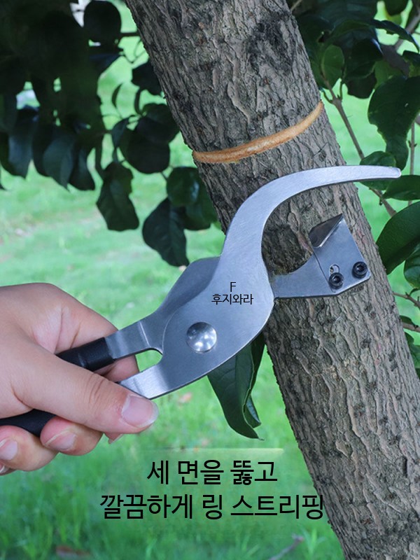 원예용 사과나무 박피칼 집게 과일나무 껍질 과수원 고리 제거 - 상세 이미지 5