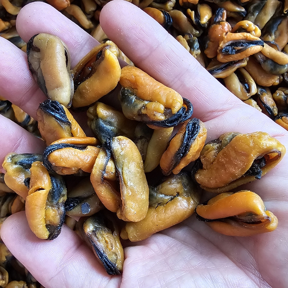 경남 남해 건조 반건조홍합 요리국물 진수 팩포장 300g 500g - 상품 이미지