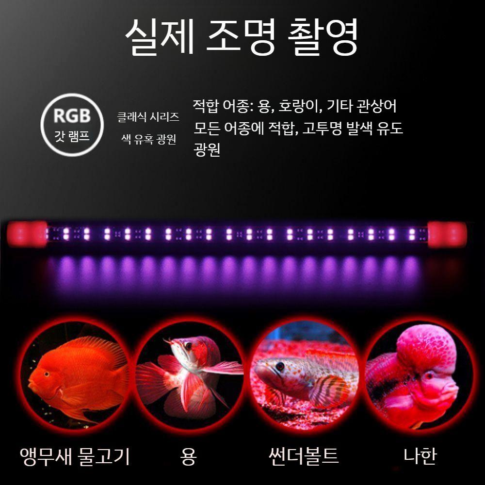 천어 수족관용 태닝등 등커버 홍용 어항조명 수족관조명 수조등 수초조명 LED등커버 LED 강력 적색 램프 52 CM - 상세 이미지 4