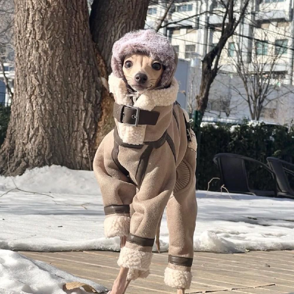 강아지매너벨트 기저귀 강아지위생팬티 수컷용 이탈리안 애견매너벨트 암컷 대형견 애견용품 소형 코튼 코트 L (38cm 55cm 7-8kg) - 상품 이미지