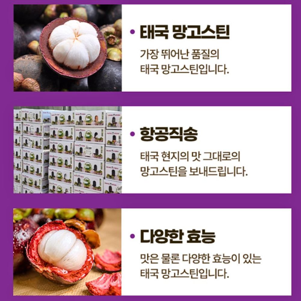 태국산 생 망고스틴 프리미엄 열대과일 1kg 8~16개입 이미지 6