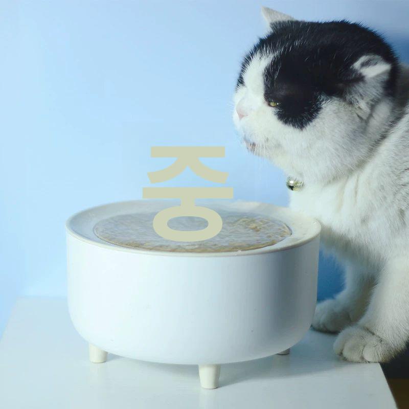 고양이 정수기 대용량 자동 순환식 분수대 반려동물 음수기 깨끗한 물 - 상세 이미지 2