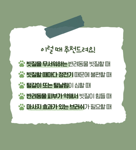 마이캣 촘촘 브러쉬 죽은털 각질 피지 제거 참 콤 원터치 빗 - 상세 이미지 3
