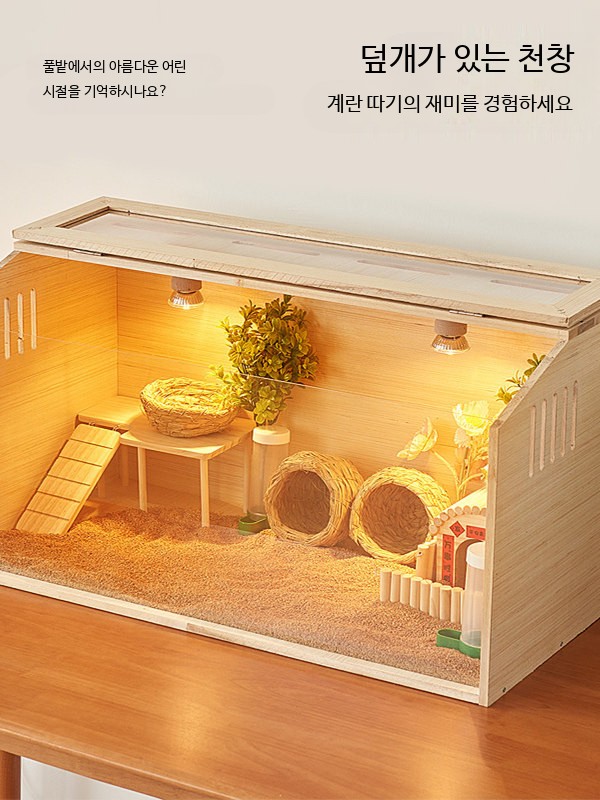 투명 파충류 사육장 도마뱀 소라게 - 상세 이미지 4