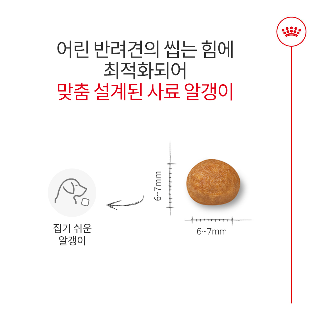 로얄캐닌 독 엑스스몰 퍼피, 500g, 1개 - 상세 이미지 4