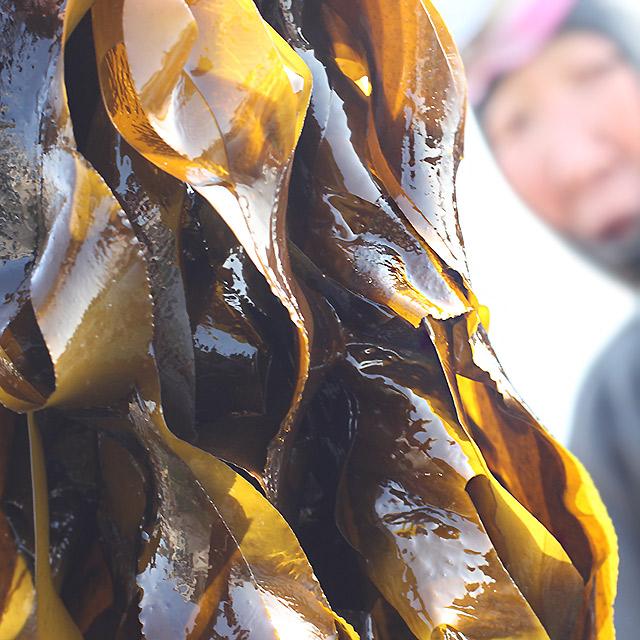 고급 산모용 자연산 돌미역 400g 건 미역 - 상세 이미지 3