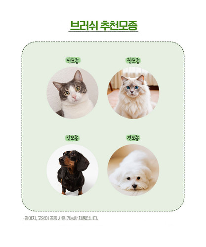마이캣 촘촘 브러쉬 죽은털 각질 피지 제거 참 콤 원터치 빗 - 상세 이미지 4