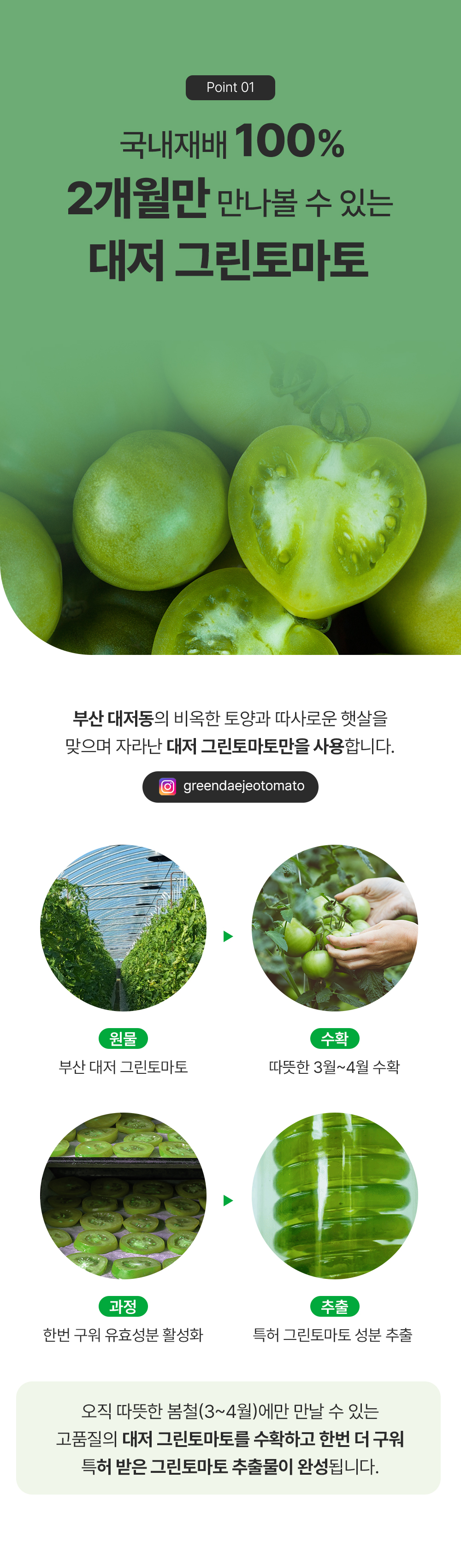 sungboon editor green tomato face mist