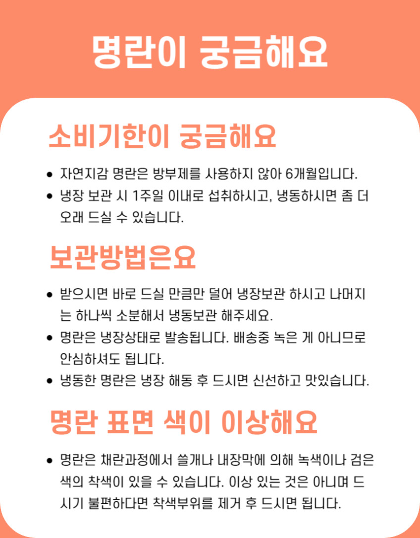 자연지감 프리미엄 명란젓 소분포장 백명란 400g 600g 800g 판매처 상세 정보 이미지 1