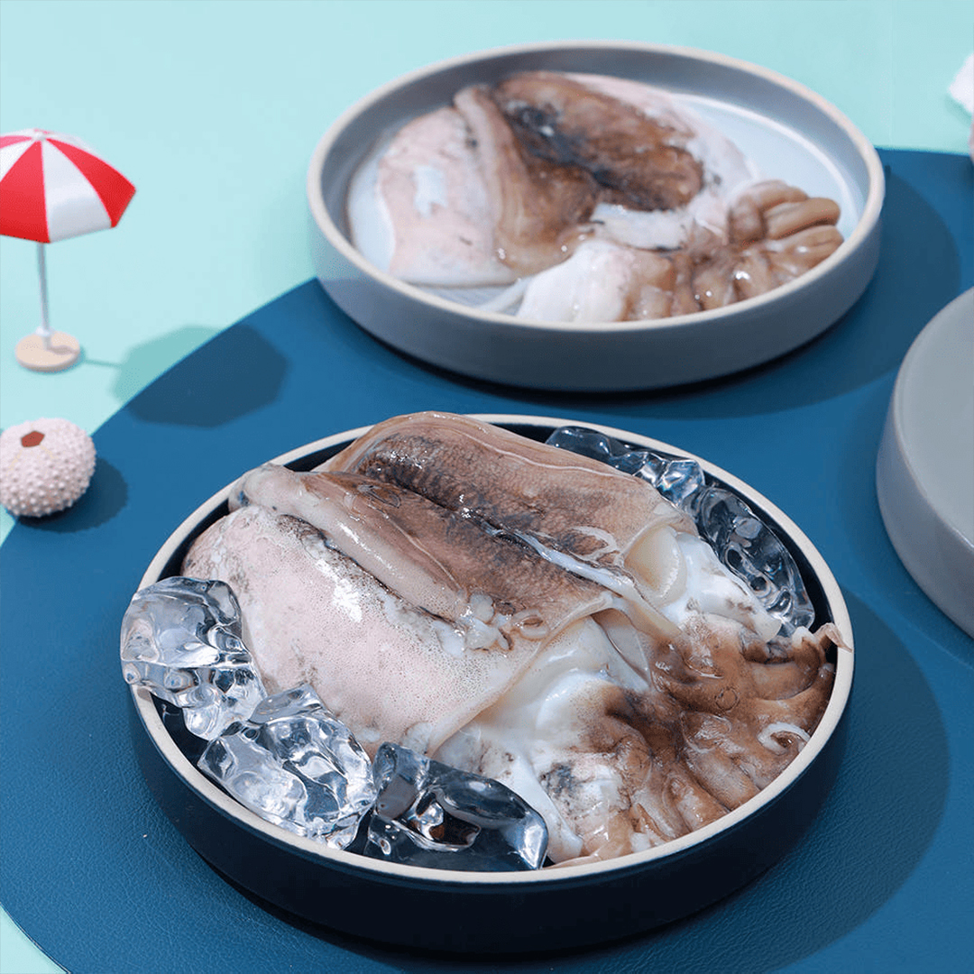 제주갈치 절단손질 갑오징어 세트 냉동 국내산 생선선물세트 친절한어부씨 - 상세 이미지 5