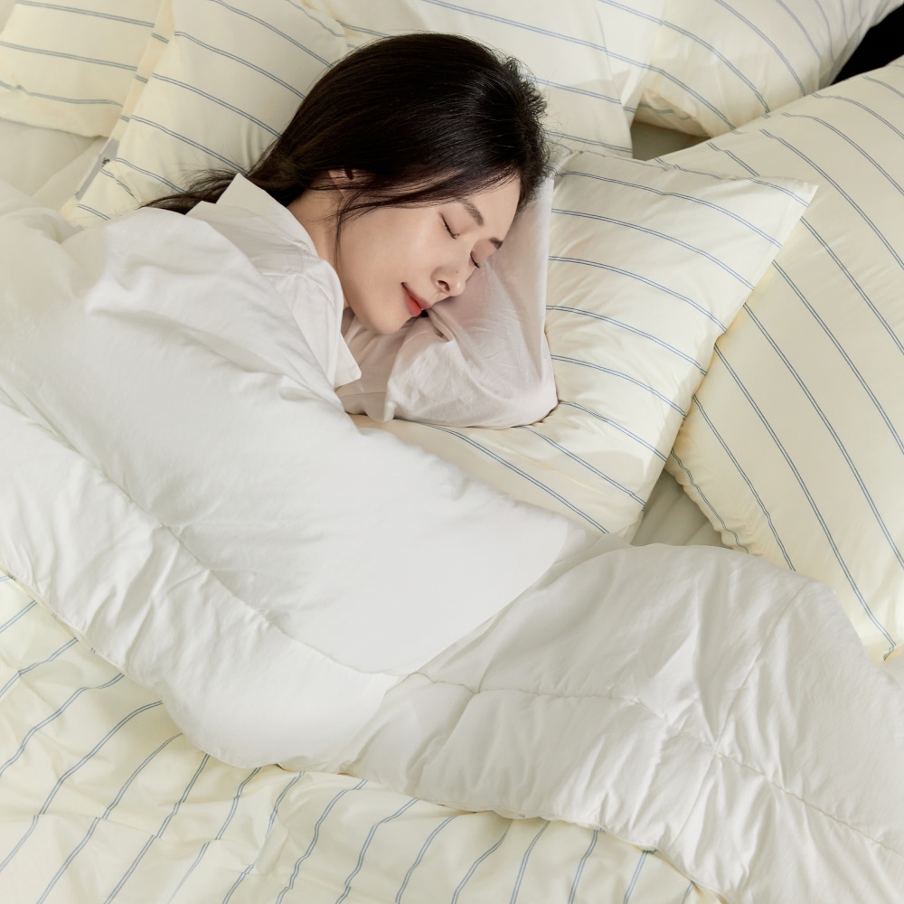 슬라운드 알러메디 레트레 알러지케어 먼지없는 사계절 겨울 차렵이불 SS - 상세 이미지 2