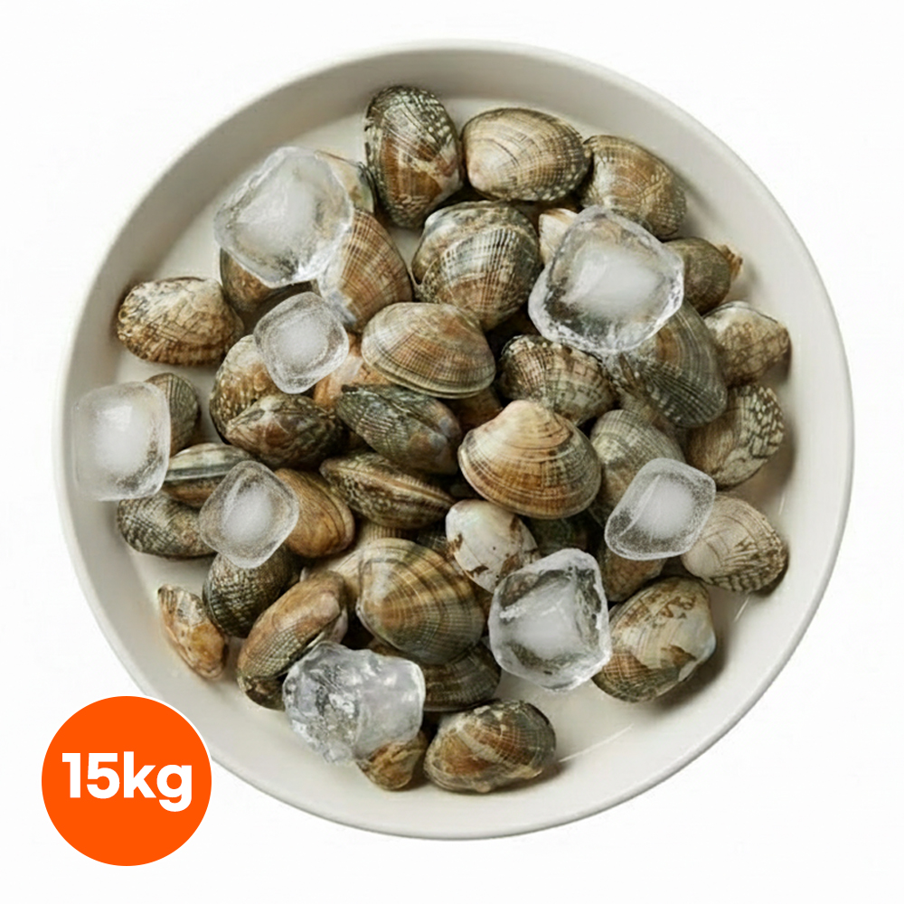 냉동 피바지락 15kg (500gX30) 해감 바지락 세척 술찜 칼국수 조개 업소용 - 상품 이미지