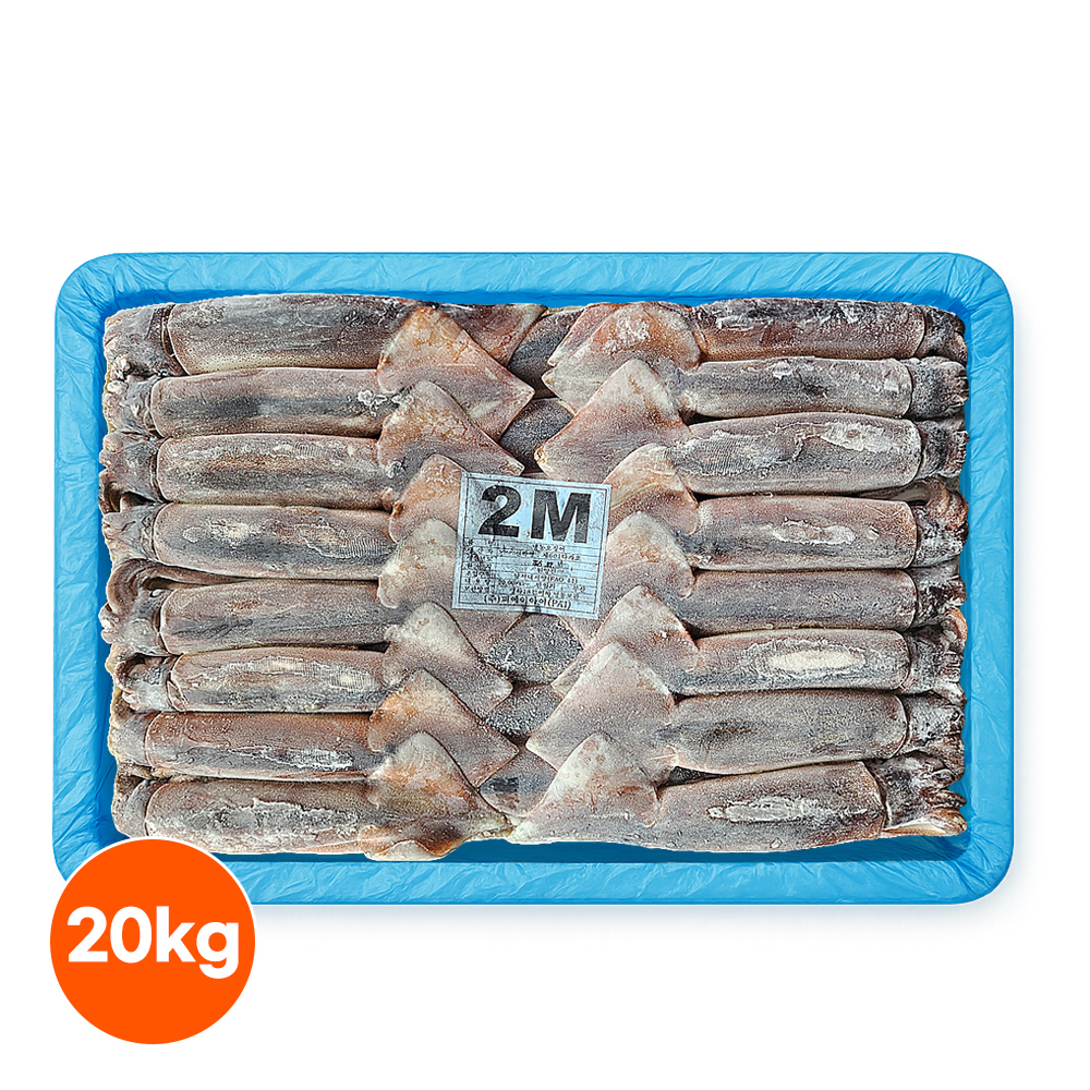 원양산 포크오징어 선동 오징어 20kg 채낚기 냉동 포클랜드 수입산 업소용 이미지 1