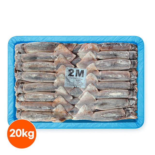 원양산 포크오징어 선동 오징어 20kg 채낚기 냉동 포클랜드 수입산 업소용 — 동급 대비 합리적인 가격으로 만나는 귀한 품질