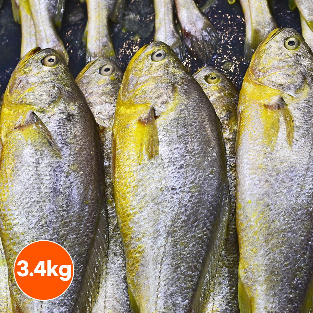냉동 부세 3.4kg 조기 손질 부세조기 업소용 제수용 식당용 도매 냉동 - 상품 이미지