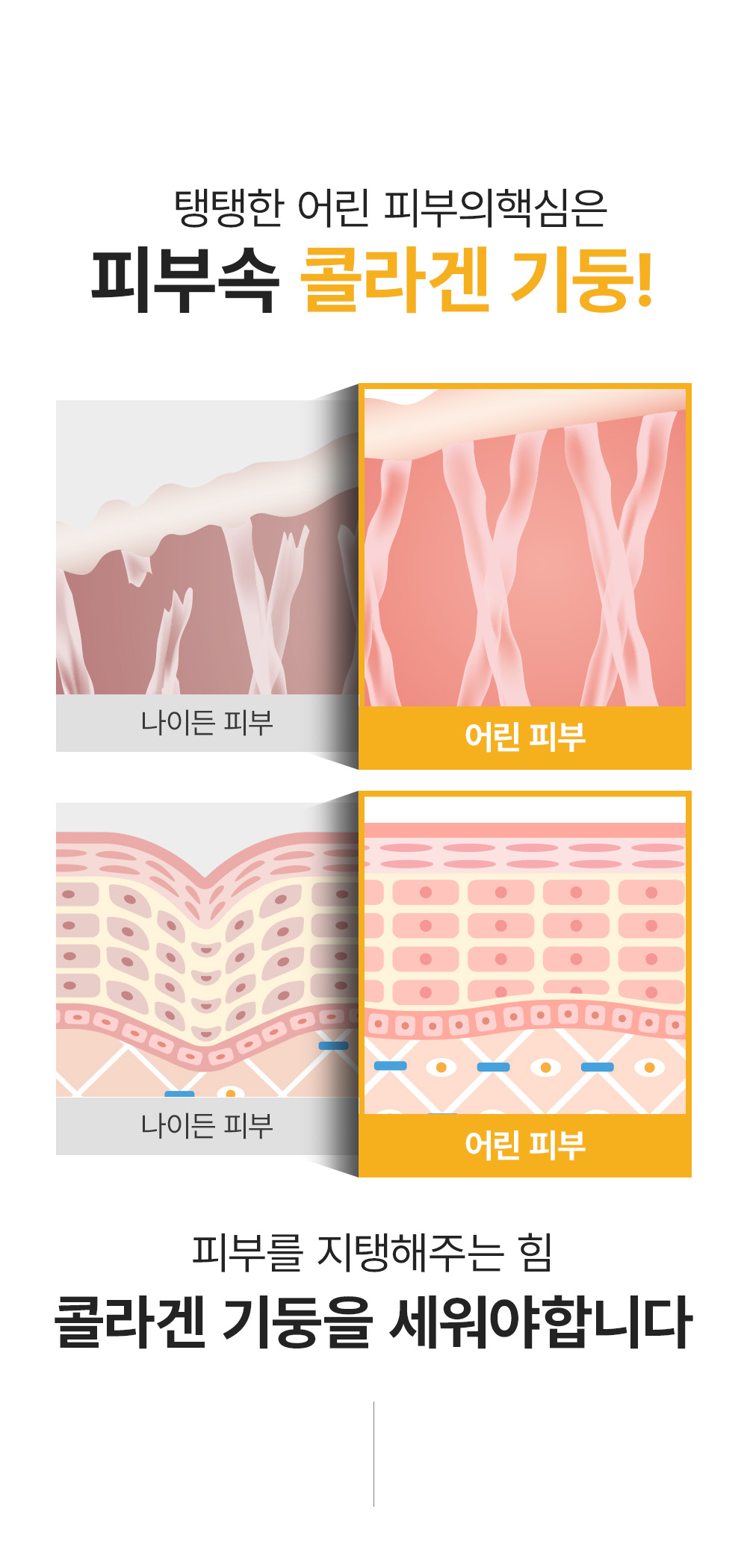 sungboon editor collagen patches