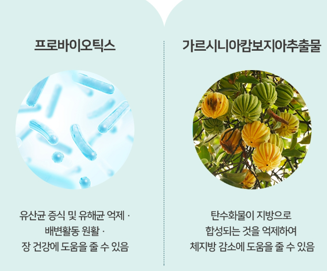 가벼운다이어트유산균 체지방분해 약한달분 가르시니아먹는법 속편한 - 상세 이미지 3