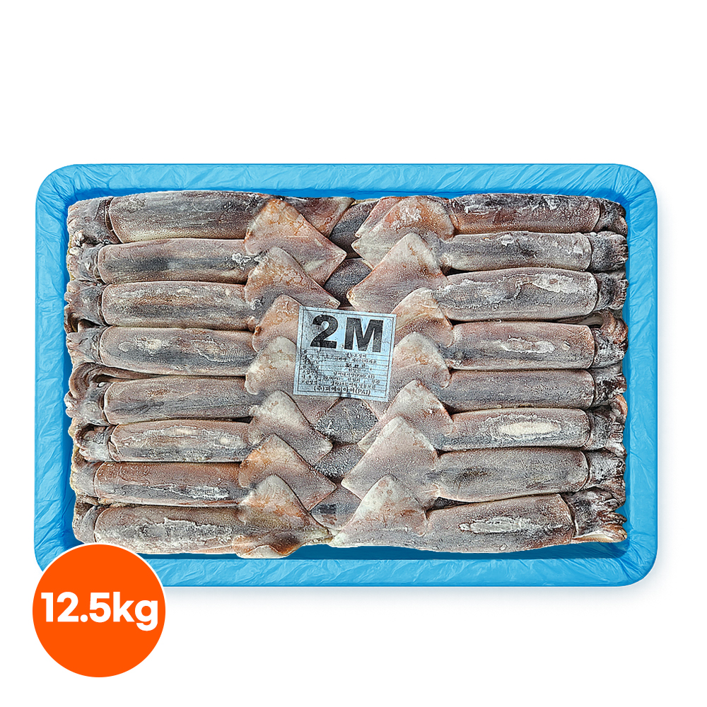 업소용 포크오징어 2M 12.5kg 선동 채낚기 수입산 냉동 오징어 업소용 - 상품 이미지