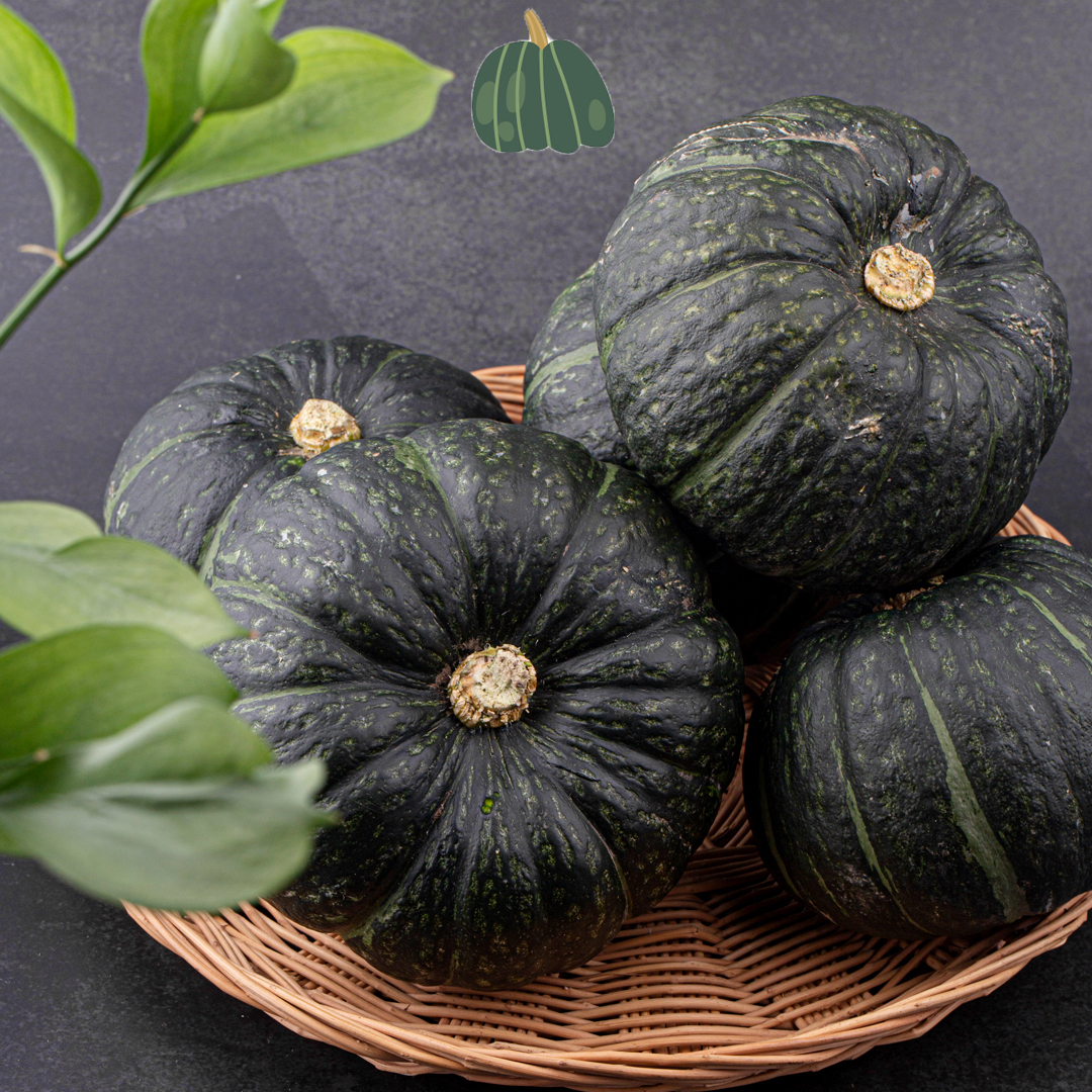 제주 산지직송 미니 단호박 보우짱 고당도 포슬포슬 밤호박 로얄과 1kg - 상세 이미지 5