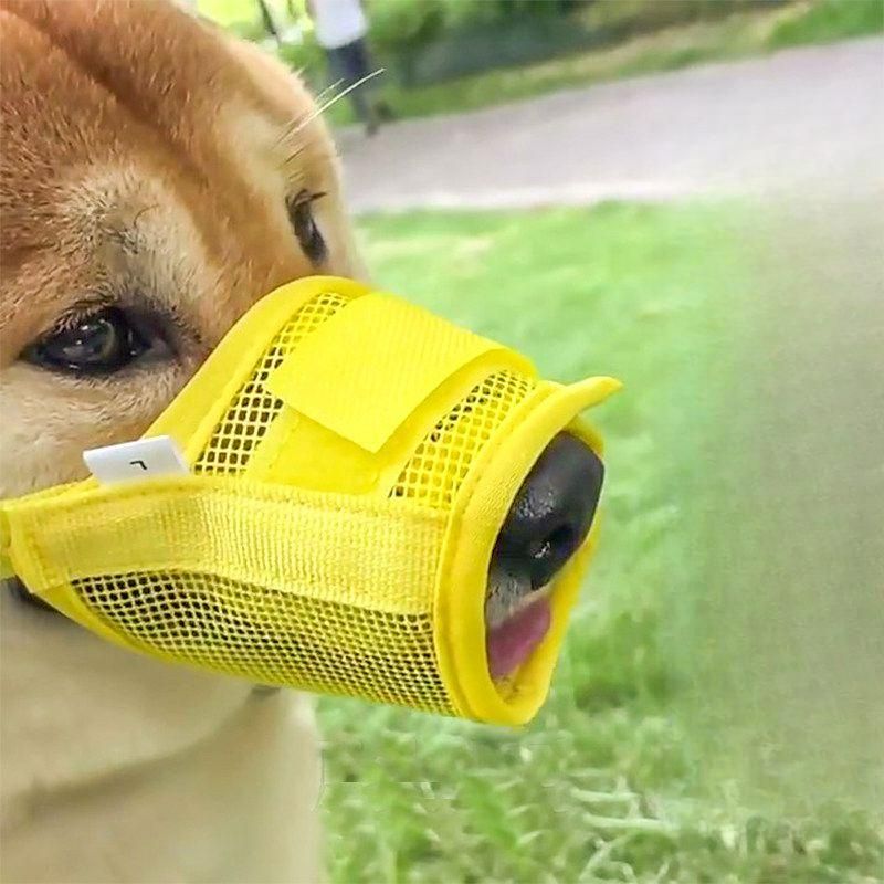 강아지 입마개 여름용 메쉬입마개 소형견 대형견 짖음방지 맹견 애견입마개 - 상품 이미지
