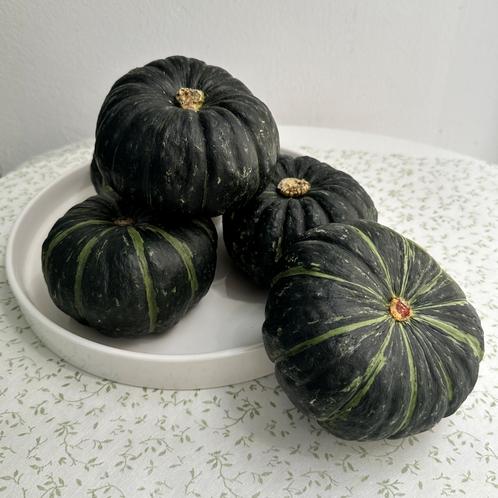 미니 밤호박 제주 보우짱 단호박 햇밤호박 제철 맛있는 2kg, 1개 이미지 8