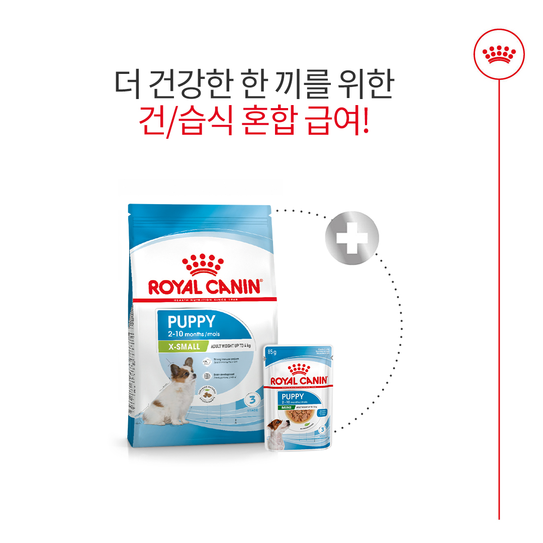 로얄캐닌 독 엑스스몰 퍼피, 500g, 1개 이미지 6
