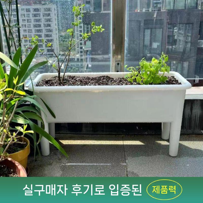 대형 옥상 식물 옷상텃밭 재배 텃밭상자 플랜트박스 대형화분 옥상텃밭 화분 베란다 텃밭화분 - 상세 이미지 4