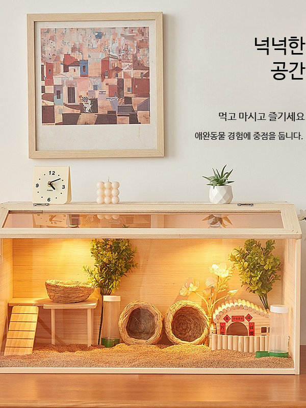 투명 파충류 사육장 도마뱀 소라게 - 상세 이미지 2