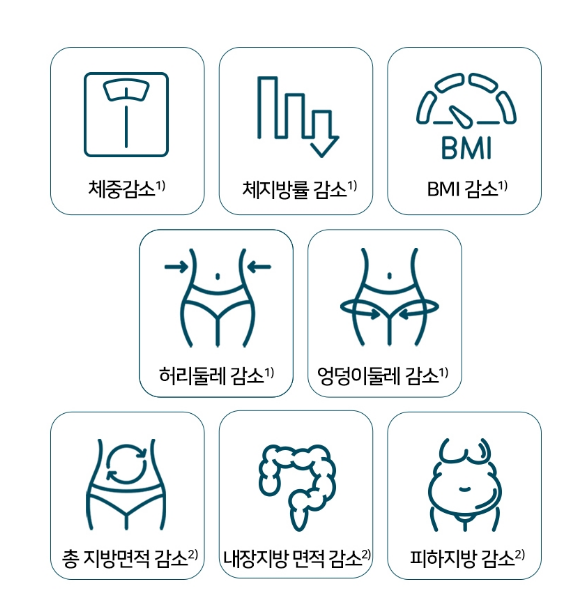 가벼운다이어트유산균 체지방분해 약한달분 가르시니아먹는법 속편한 - 상세 이미지 5