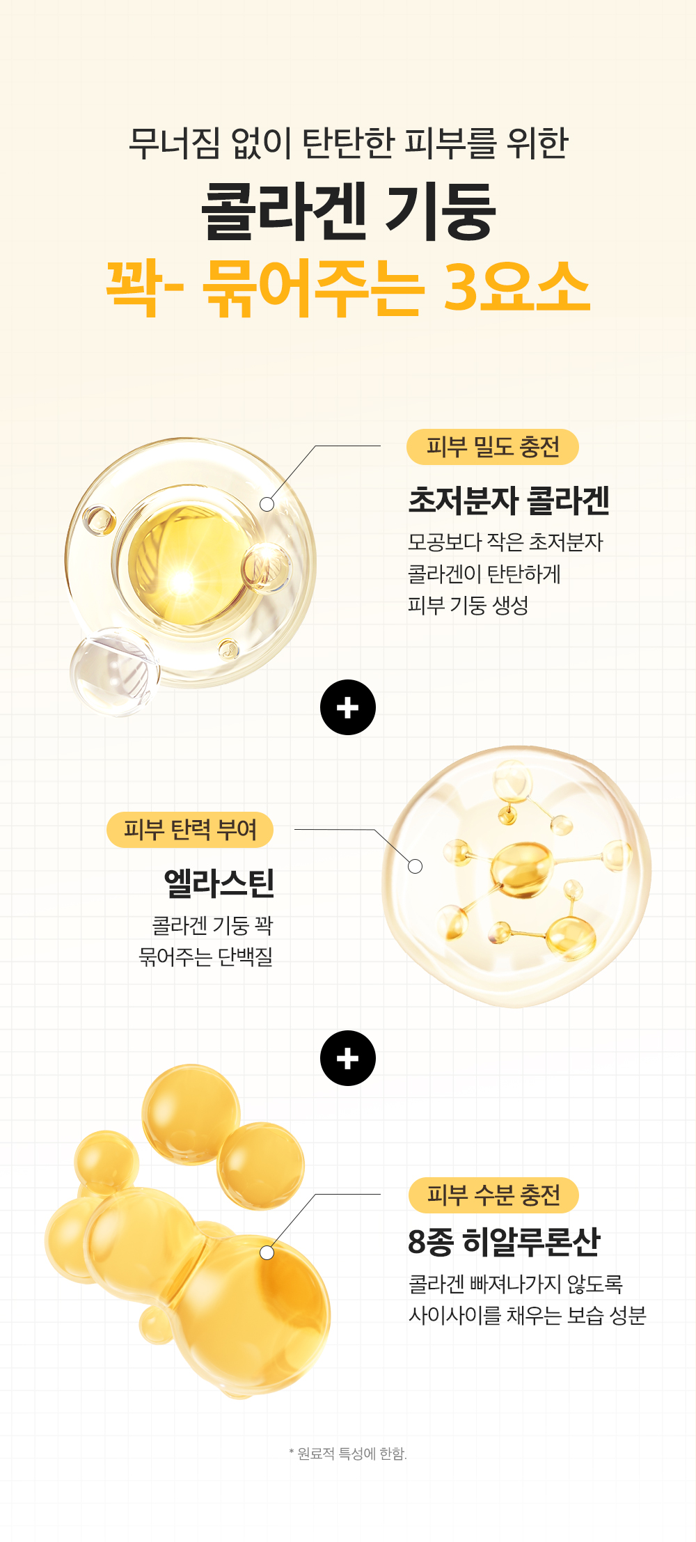 sungboon editor collagen concentrated ampoule