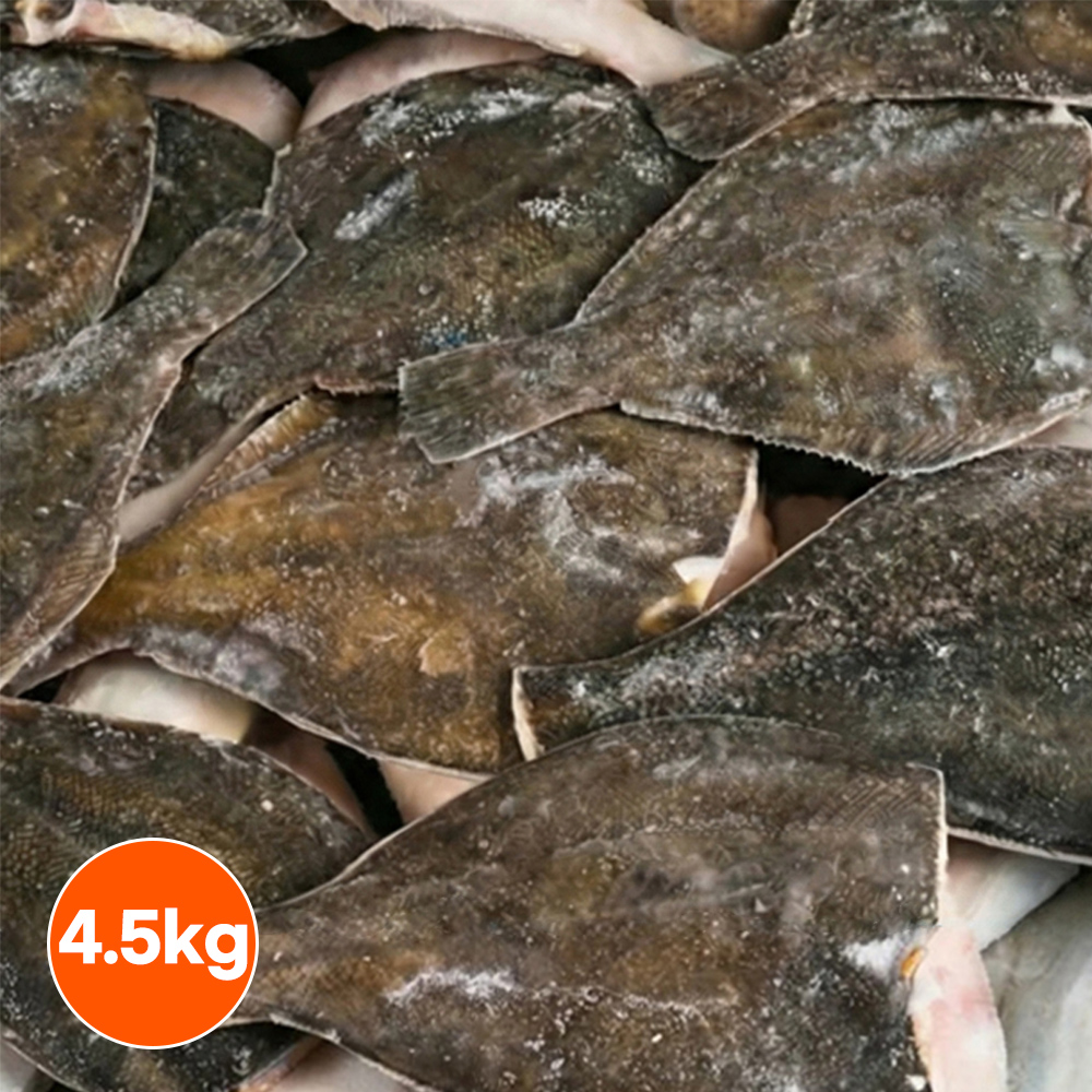 손질가자미 4.5kg 두절 냉동 가자미 식당용 업소용 - 상품 이미지
