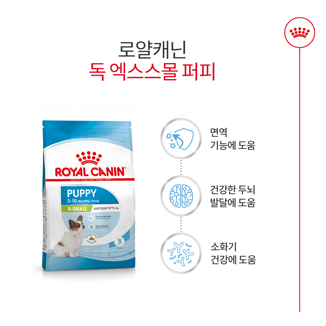 로얄캐닌 독 엑스스몰 퍼피, 500g, 1개 - 상세 이미지 3