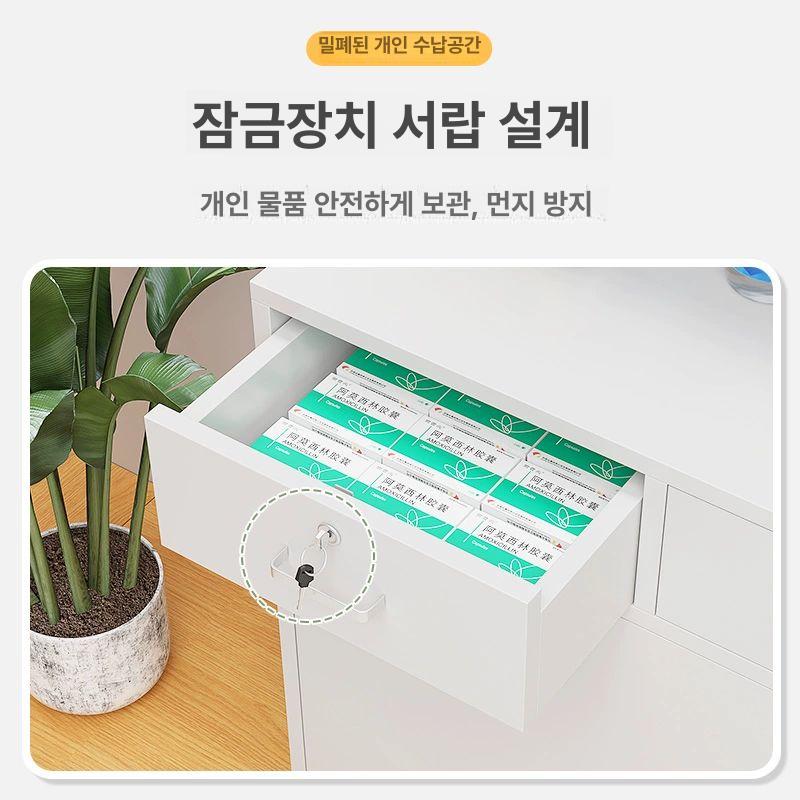 시약장 약품 잠금 약국 철제 수납장 안전 사물함 스테인레스 캐비넷 보건실 - 상세 이미지 3