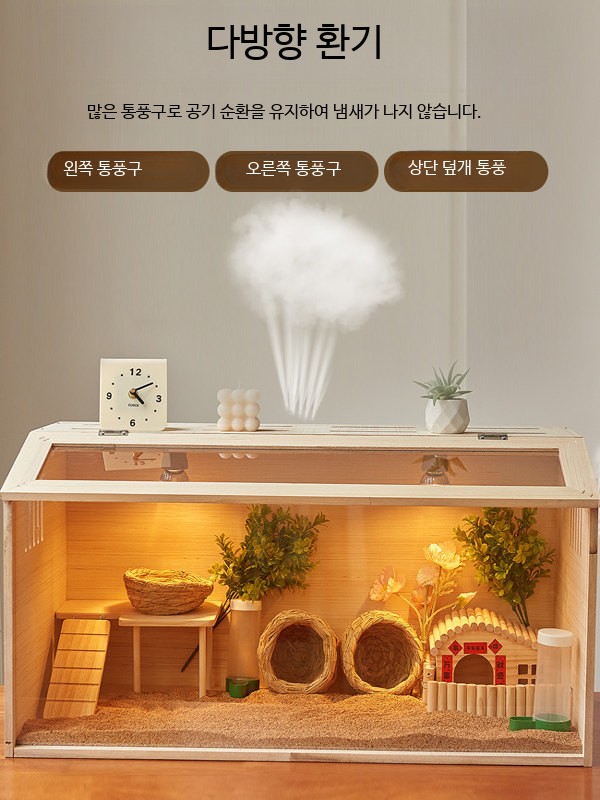 투명 파충류 사육장 도마뱀 소라게 - 상세 이미지 5
