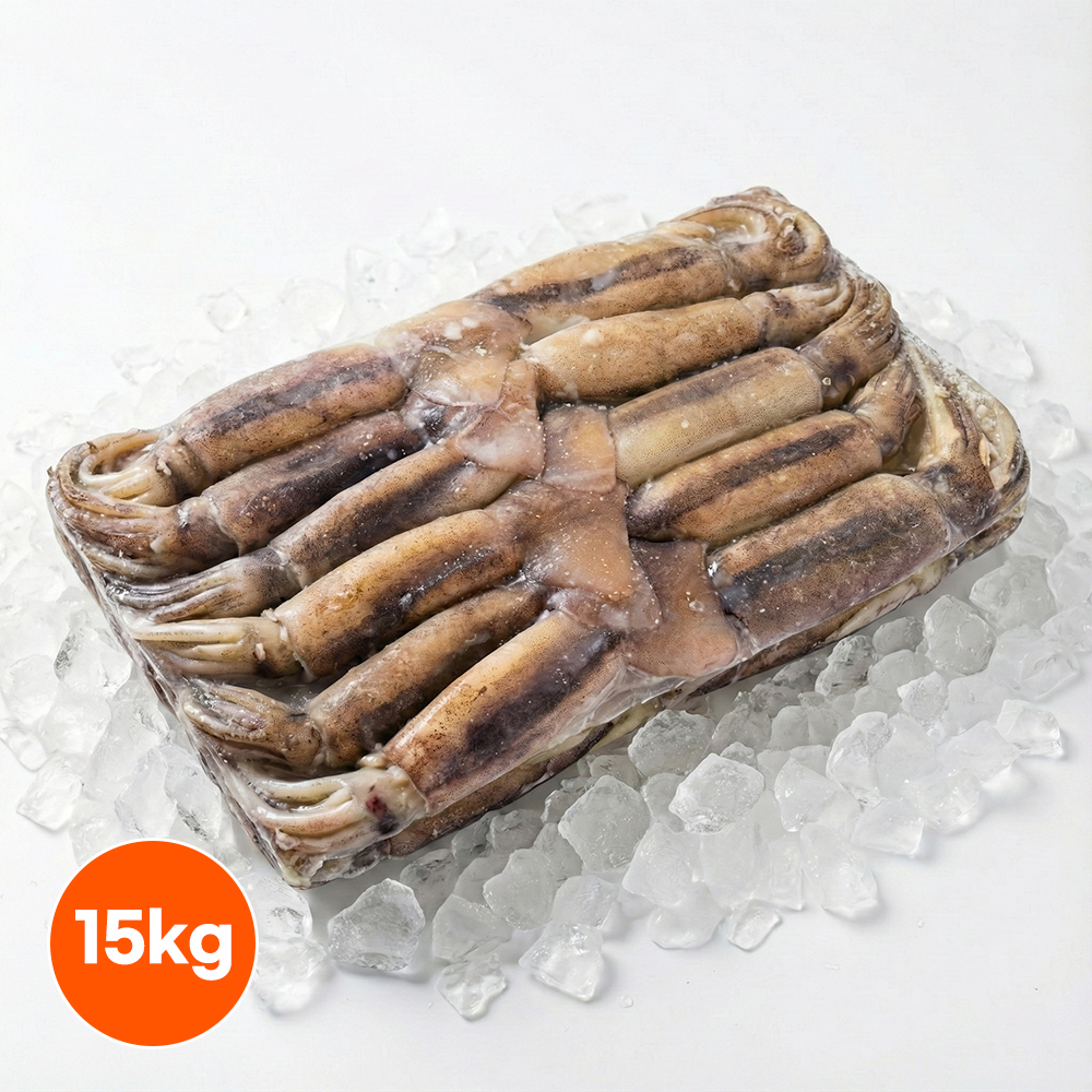 냉동오징어 15kg 9미 10미 베이트 육동오징어 통오징어 업소용 - 상품 이미지