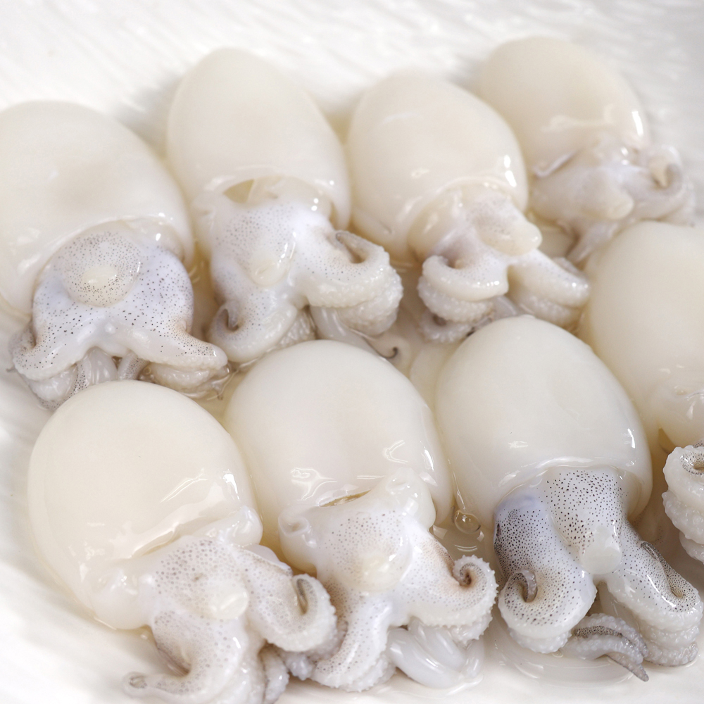 미니 갑오징어 180g 9미 12미 손질 냉동 베이비이까 베트남 - 상품 이미지