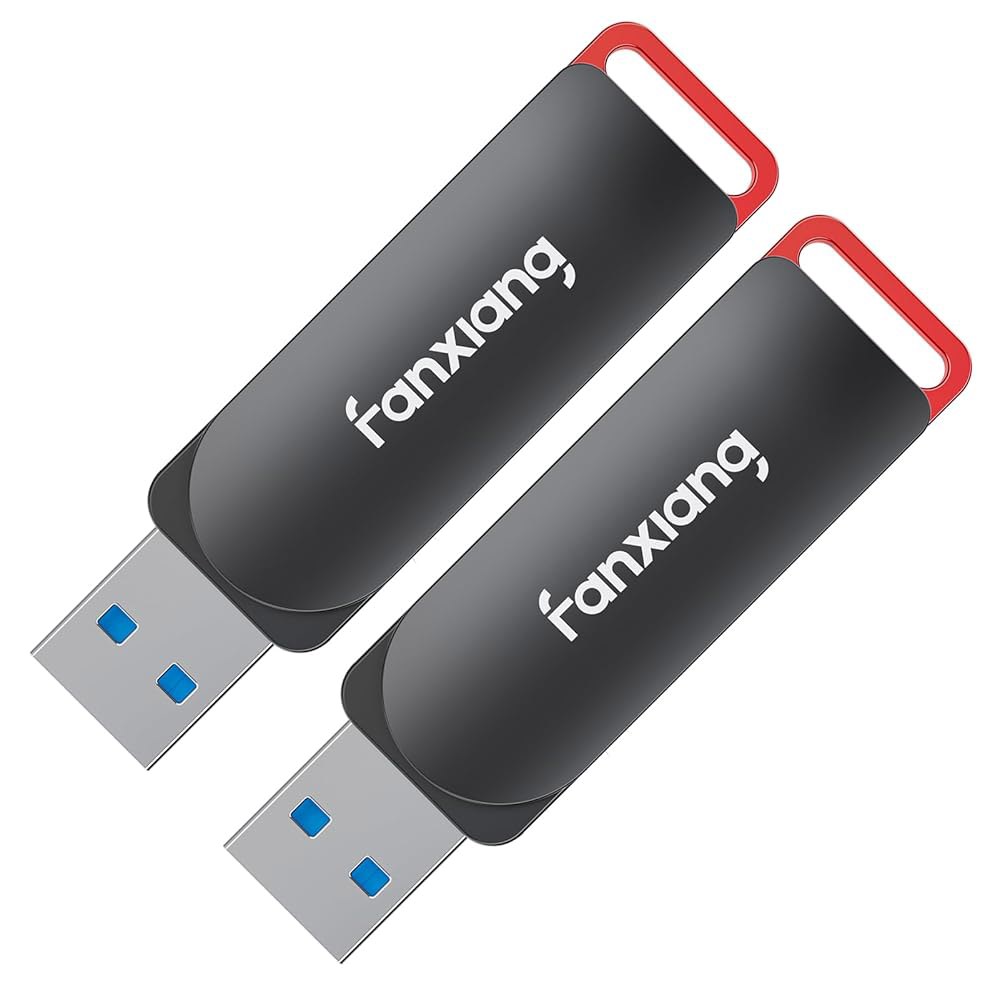 판샹 2팩 128GB USB 플래시 드라이브, 메탈 썸 3.2 최대 200MB/s 저장 및 백업용 메모리 스틱, F309 128GBx2 - 상품 이미지