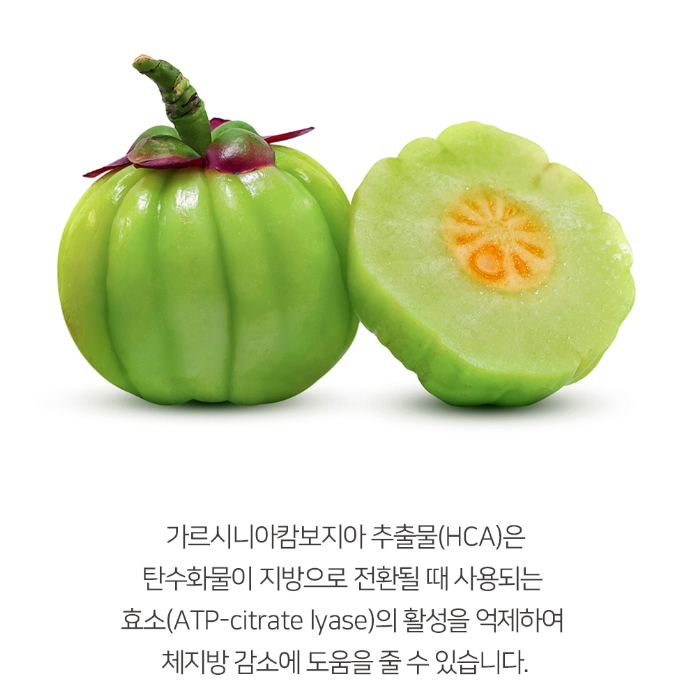 가벼운다이어트유산균 체지방분해 약한달분 가르시니아먹는법 속편한 - 상세 이미지 4