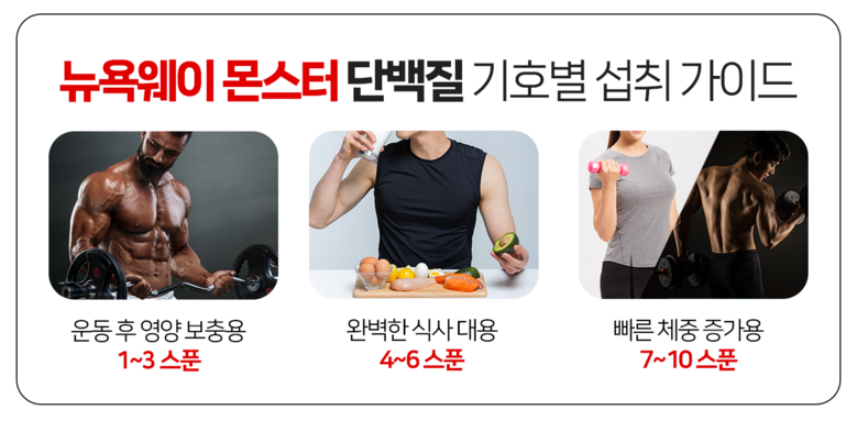 뉴욕웨이 몬스터2kg 게이너보충제 단백질보충제 유청단백질 식사대용 — 마무리