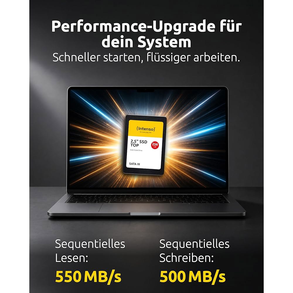 Intenso 2.5인치 256GB SATA III 프리미엄 성능 솔리드 스테이트 드라이브(3812440) 1 TB - 상세 이미지 2