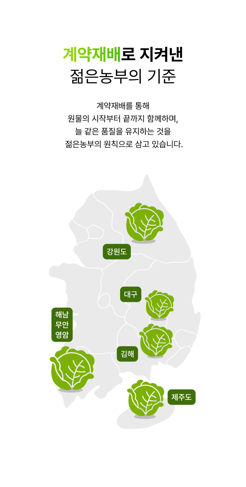 젊은농부 양배추즙 상품 설명 18