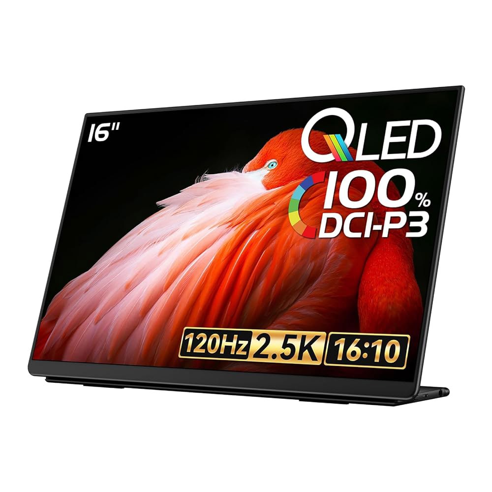EHOMEWI Q5 휴대용 모니터 2.5K 120Hz 16인치 QLED, 2560 1600 400니트 HDR 100 DCI-P3 1500 1 sRGB, FreeSync, 16 10 - 상품 이미지