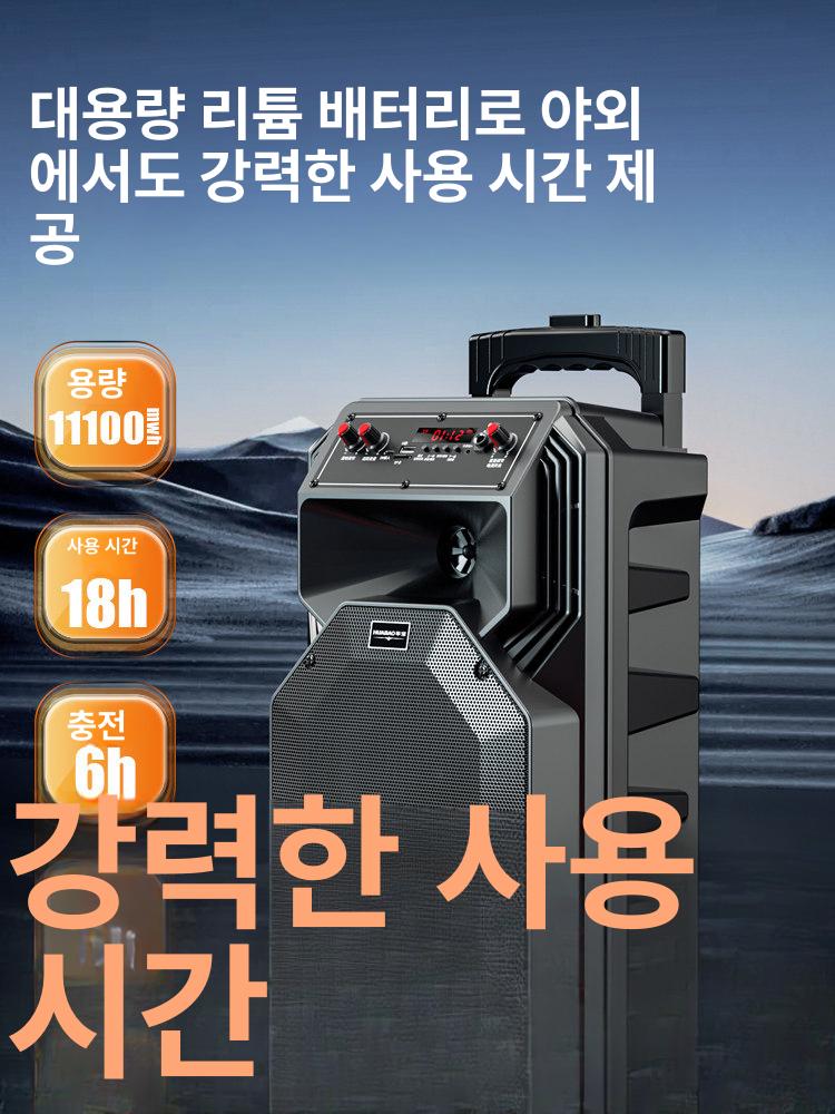 무선 블루투스 휴대용 대용량 마이크 야외 가정용 10 인치 플래그십 + 16G B USB - 상세 이미지 5