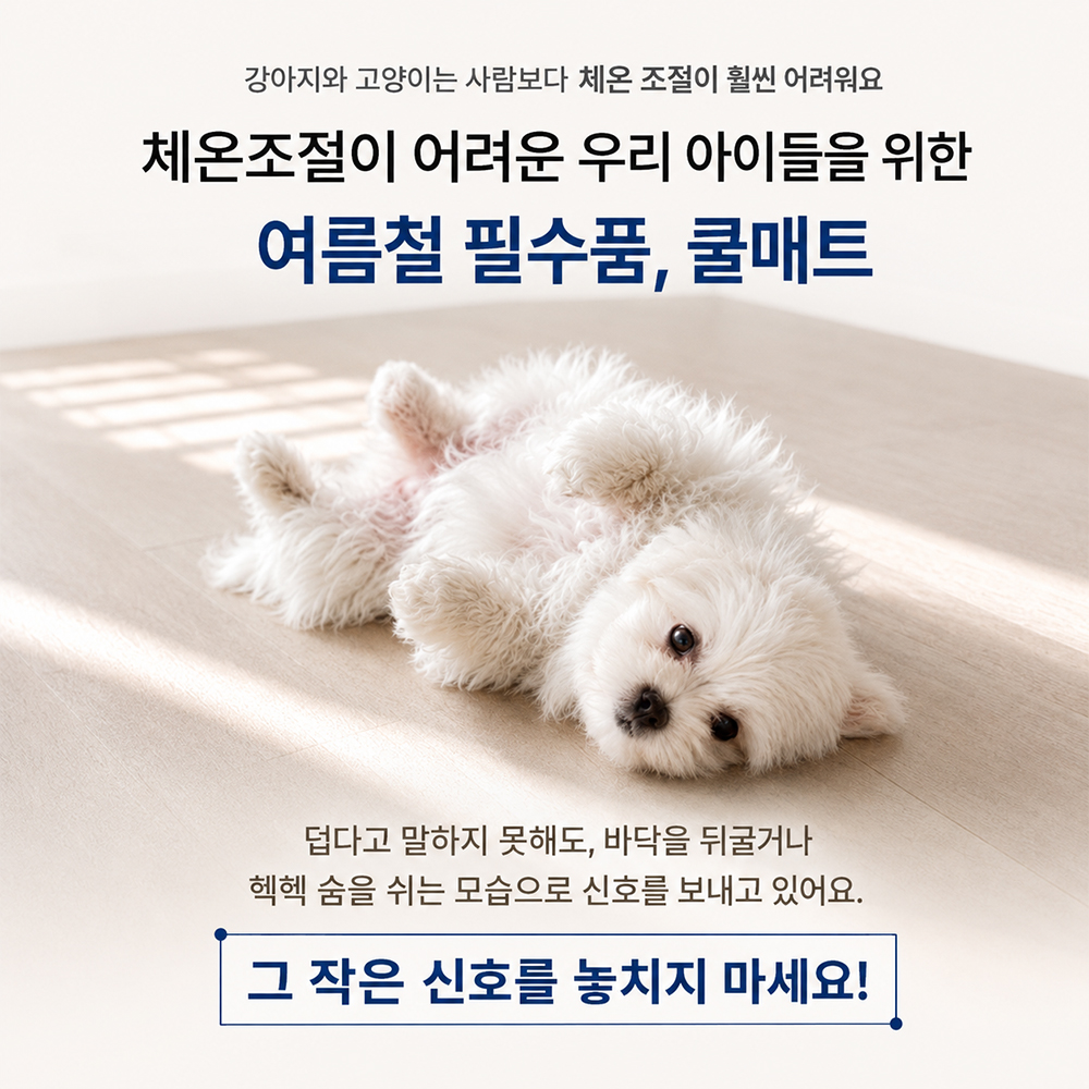 시온 강아지쿨매트 커버분리형 듀라론 무자극 애견 냉감패드 고양이 반려동물 소형 50x60 - 상세 이미지 5