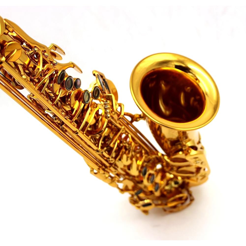 동양 음악 골드 래커 레퍼런스 54 알토 색소폰 SAX - 상세 이미지 3
