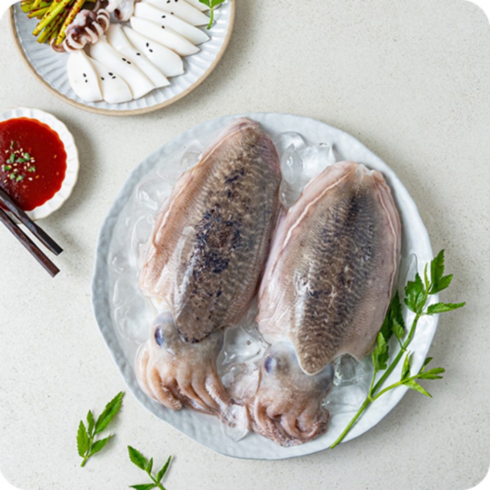 생오징어 물 산오징어 활갑오징어 국내산통오징어 갑오징어생물 통찜용 국산 특대, 3kg, 1개 이미지 6