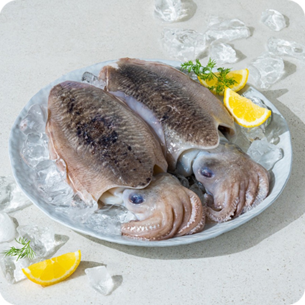 생오징어 물 산오징어 활갑오징어 국내산통오징어 갑오징어생물 통찜용 국산 대, 5kg, 1개 - 상품 이미지