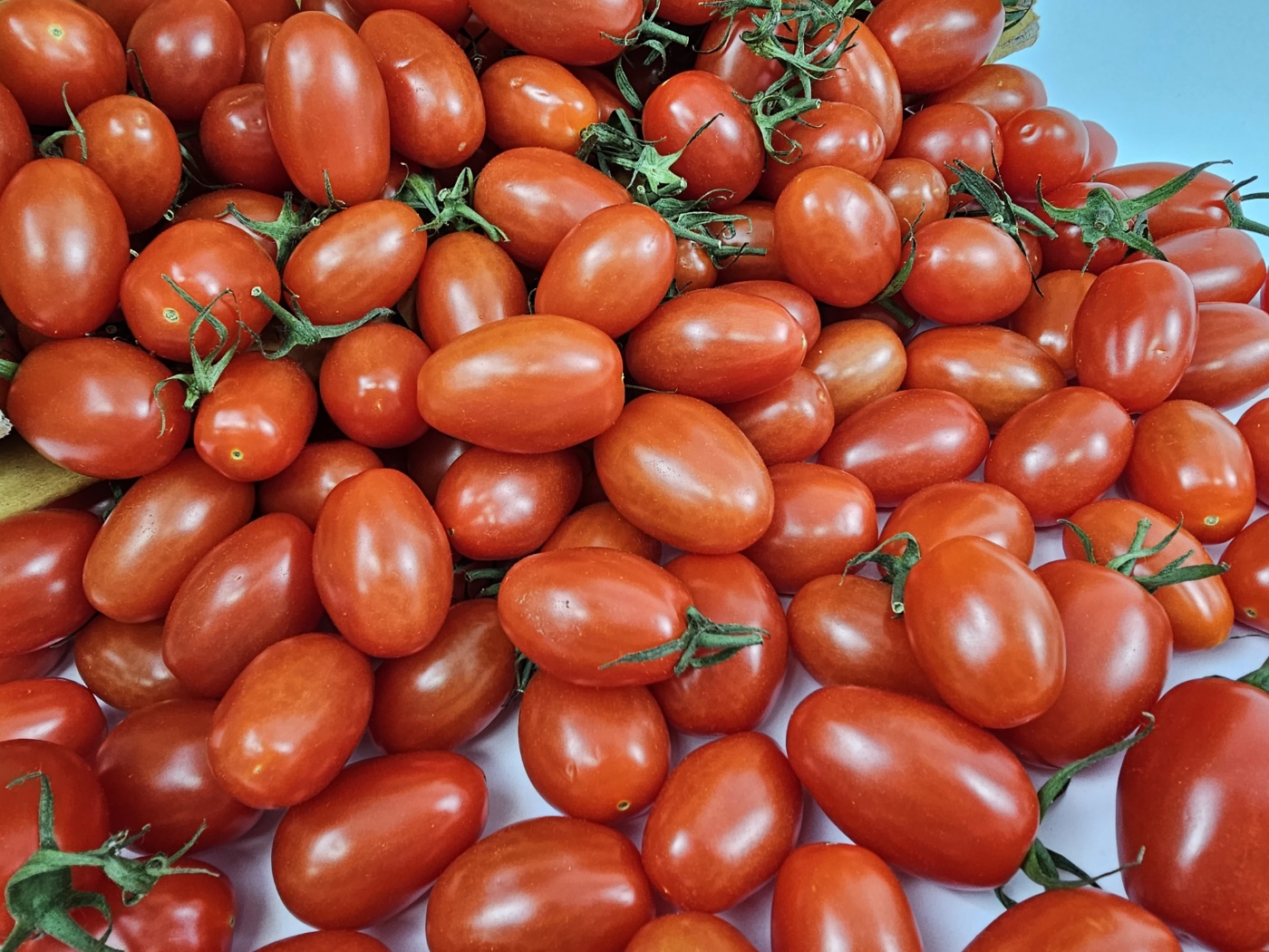토해원 고당도 선별 대추 방울 토마토 1kg 2kg 3kg 특품 이미지 6