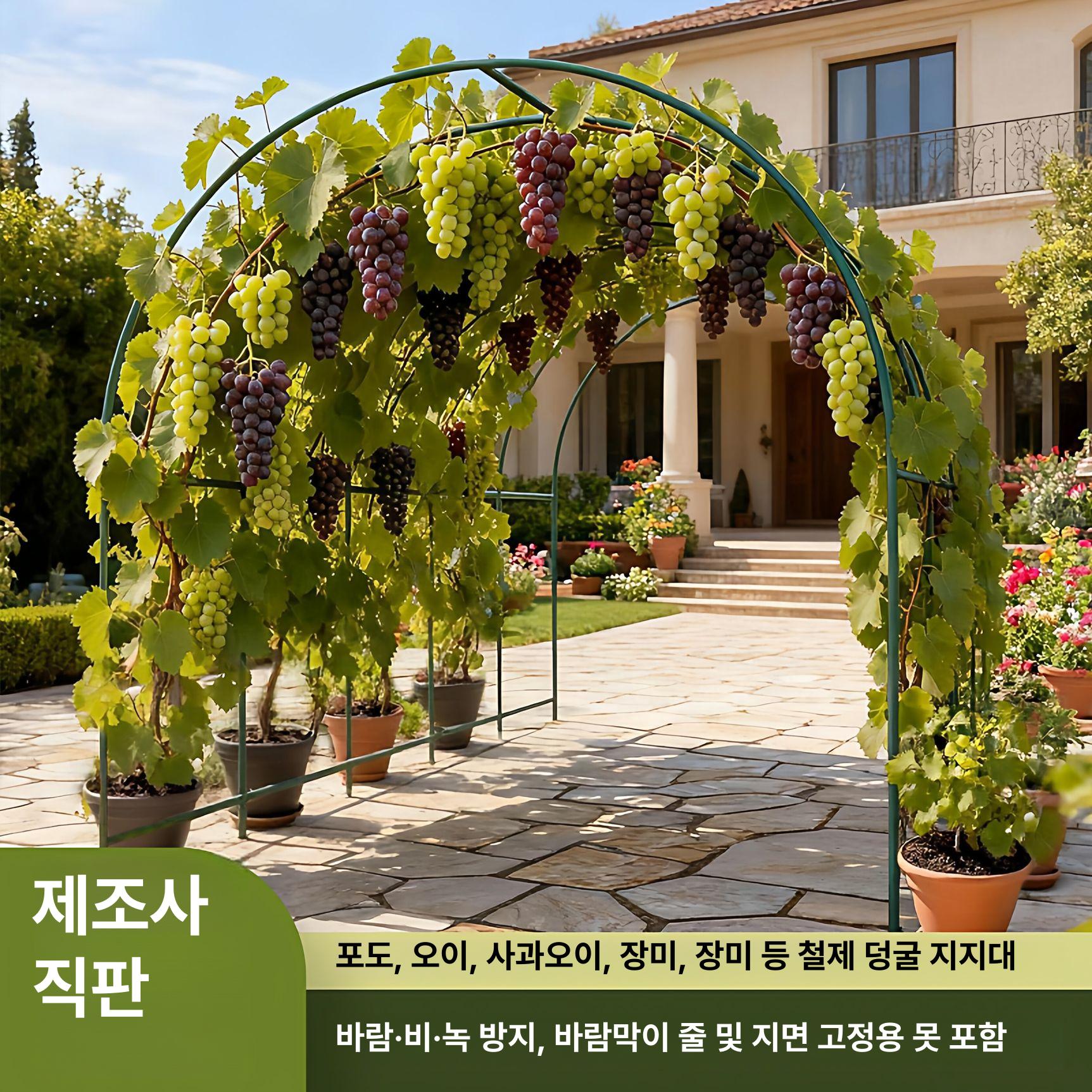 조립식 비닐하우스 프레임 식물 지지 파이프 온실 자재 3.6x너비 2.15x높이 2.2m - 상세 이미지 2